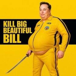 KILL BIG BEAUTIFUL BILL