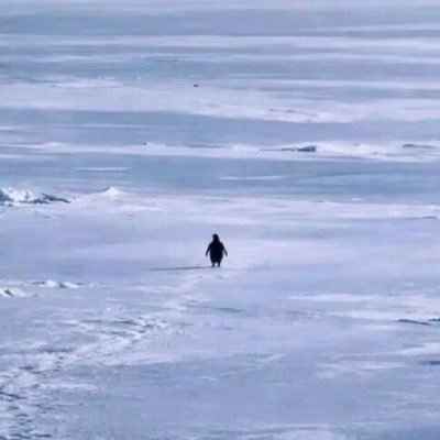 Nietzschean Penguin Logo