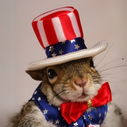 شعار Sugar Bush the Squirrel